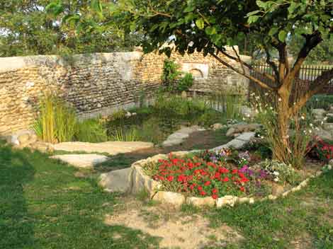 Forums Flore, Jardin Nature et Evasion